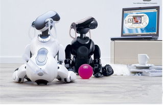 时隔12年,索尼坚守AIBO信念,重启机器人业务
